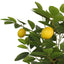 kunstigt citrontræ med 3 stammer 85 cm PP grøn