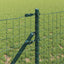 Eurohegn Ground Fix 10 x 0,8 m PVC-belagt stål Grøn Mesh