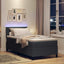 LED Box Spring Bed Mørkegrå og Hvid 90 x 190 cm Velourstof