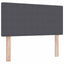 LED Box Spring Bed Mørkegrå og Hvid 90 x 190 cm Velourstof