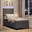 LED Box Spring Bed Lys Grå og Hvid 90 x 190 cm Velourstof