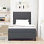 LED Box Spring Bed Mørkegrå og Hvid 120 x 200 cm Velourstof