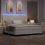 LED Box Spring Bed Creme og hvid 200 x 200 cm Velourstof