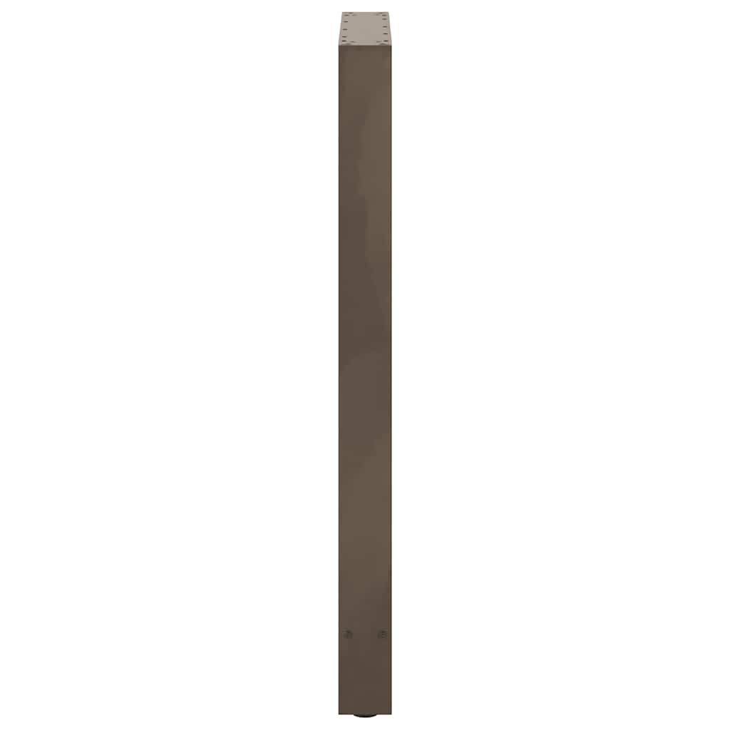barbordsben naturstål 2 stk. 60x(100-101) cm stål