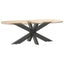 sofabordben edderkopformet antracit 98x58x(42-43) cm stål
