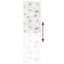 Bruserullegardin 60x240 cm Stofbredde 56 cm