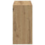 væghylde 100x25x50 cm konstrueret træ sort egetræsfarve
