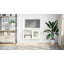 tv-bord 68x39x60,5 cm stål hvid