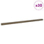 Trinkantprofiler 30 pcs Brun 67 x 3.5 x 3 cm Aluminium