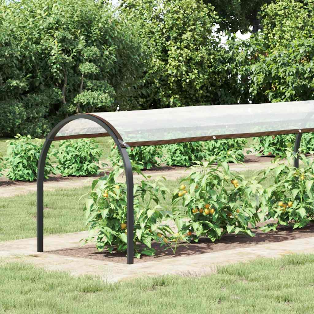 klar presenning med øjer 1x6 m polyethylen