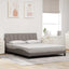 sengeramme uden madras Hanko 160x200 cm stof gråbrun