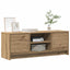 tv-bord 102x30x37,5 cm konstrueret træ kunsteg