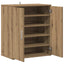 skoskab 60x35x70 cm konstrueret træ kunsteg