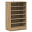 skoskab 60x35x92 cm konstrueret træ kunsteg