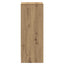 skoskab 60x35x92 cm konstrueret træ kunsteg