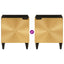 Natskab 2 pcs Sort og Guld 40 x 33 x 46 cm Konstrueret træ
