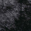 shaggy gulvtæppe NAVARRA 120x170 cm høje luv polyester sort