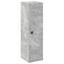 badeværelsesskab med rulleholder 20,5x22x72 cm betongrå