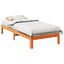 sengeramme uden madras 80x200 cm massivt fyrretræ gyldenbrun