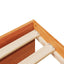 daybed uden madras 90x190 cm massivt fyrretræ gyldenbrun
