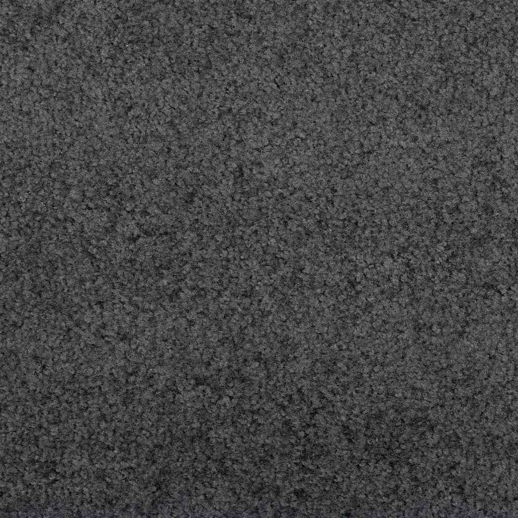 Dørmåtte Anthracit og sort 120 x 400 cm 100% polyamid