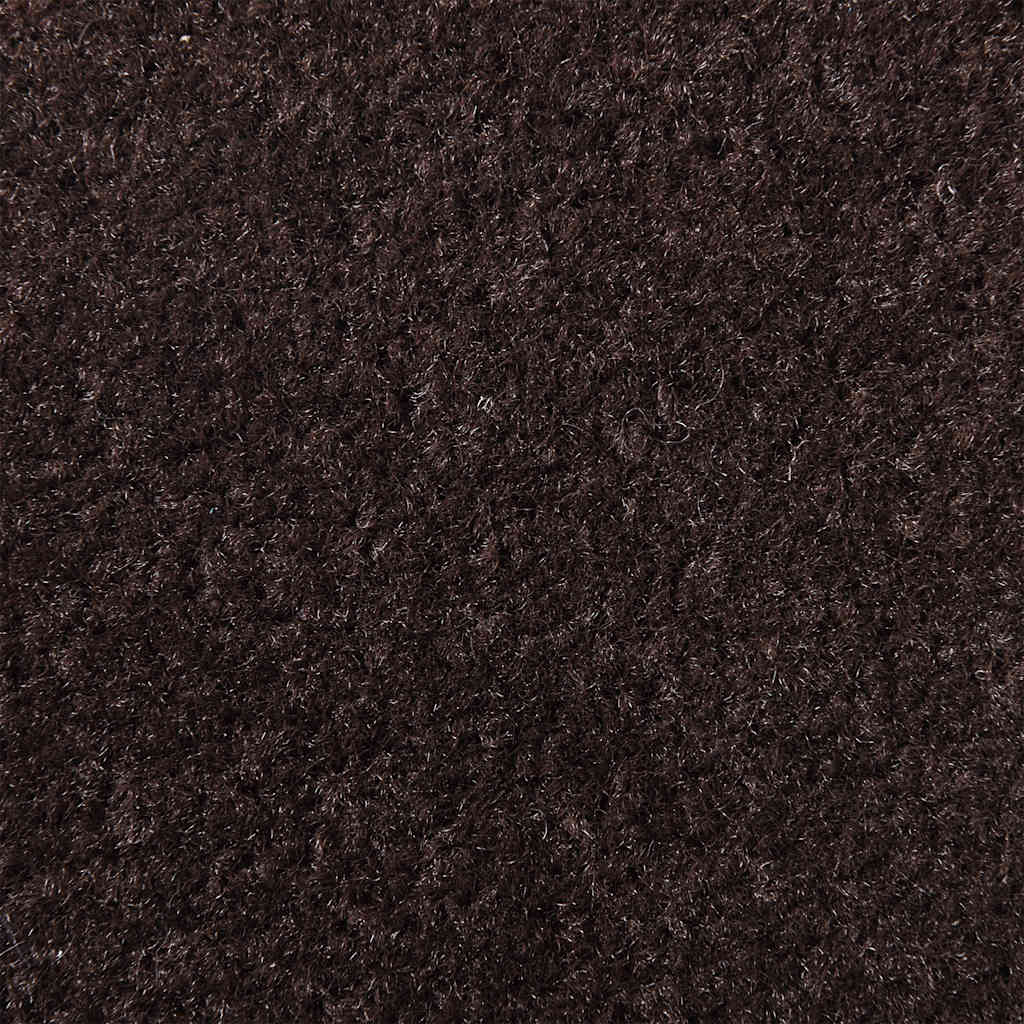 Dørmåtte Brun 60x90 cm