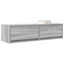TV-skab Grå sonoma-eg 100 x 31 x 25,5 cm Konstrueret træ