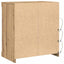 LED Sideboard Artisan Egetræ 60,5 x 37 x 67 cm Konstrueret træ