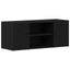 TV-skab 100 x 35 x 40 cm Sort eg Konstrueret træ