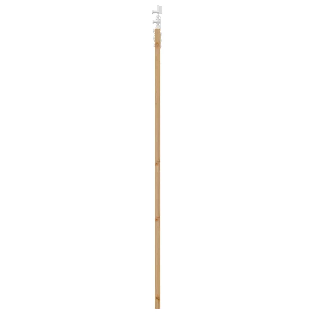 Skydedør Naturfarvet 61 x 198,5 cm Massivt fyrretræ og glas