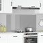 Køkkenbacksplash Lysegrå 120 x 60 cm hærdet glas