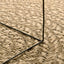Tæppe ZIZUR Brun 170 x 120 cm Polypropylen