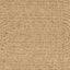 Tæppe ZIZUR Brun 200 x 140 cm Polypropylen