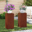 Planteholder 2 pcs Rusten 24 x 24 x 55 cm Cortenstål