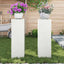 Planteholder 2 pcs Hvid 24 x 24 x 75 cm Stål
