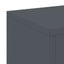 Planteholder 2 pcs Antracit 24 x 24 x 75 cm Stål