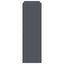 Planteholder 2 pcs Antracit 24 x 24 x 75 cm Stål