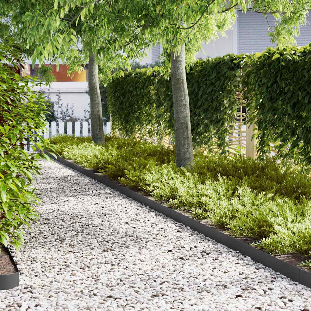 Plænekant 20 pcs Sort 100 x 0,05 x 15 cm Koldvalset Stål