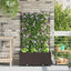 Have Blomsterkrukke 2 stk. Brun 80 x 40 x 143 cm PP