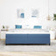 Box spring seng Blå 200 x 200 cm Velourstof