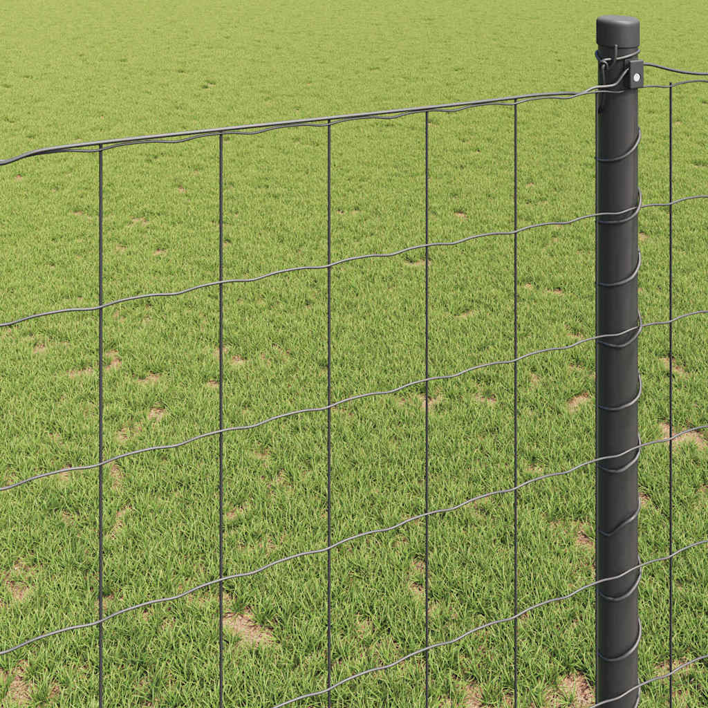 Euro Hejn Grå 0,8 x 25 m PVC-belagt jern