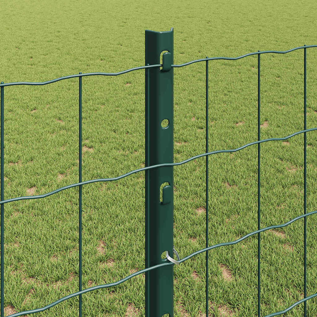 Eurohegn med stolpe 10 x 1,2 m PVC-belagt stål Grøn Mesh