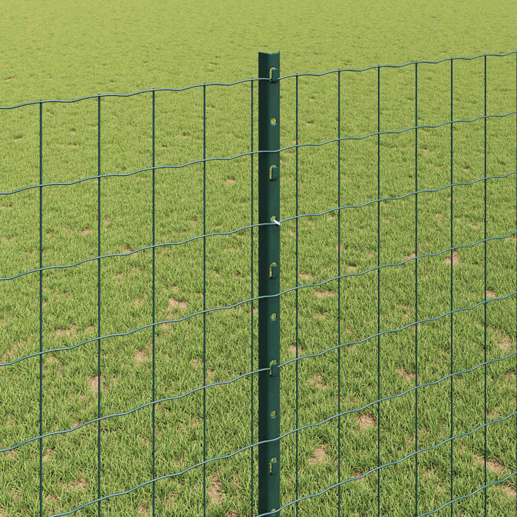 Eurohegn med stolpe 10 x 1,4 m PVC-belagt stål Grøn Mesh