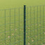 Eurohegn med stolpe 10 x 1,6 m PVC-belagt stål Grøn Mesh