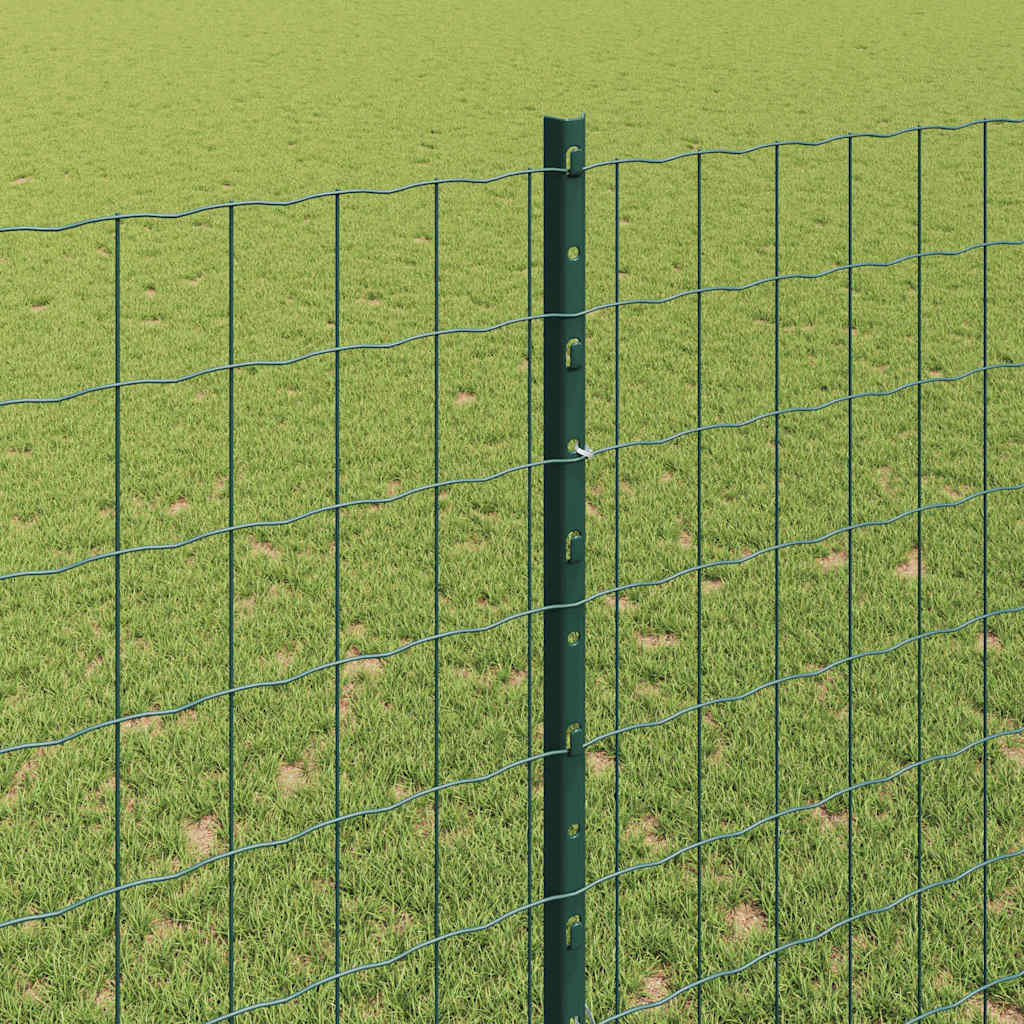 Eurohegn med stolpe 10 x 1,6 m PVC-belagt stål Grøn Mesh