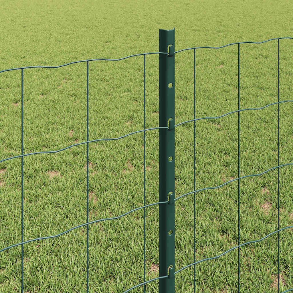 Eurohegn med stolpe 25 x 0,8 m PVC-belagt stål Grøn Mesh