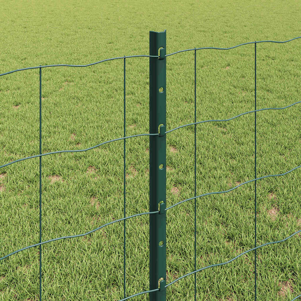 Eurohegn med stolpe 25 x 0,8 m PVC-belagt stål Grøn Mesh