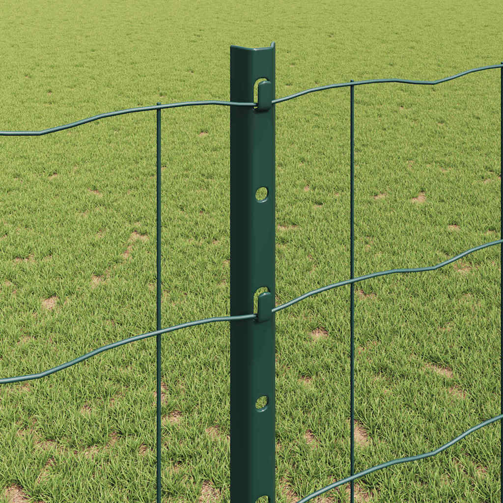 Eurohegn med stolpe 25 x 1,2 m PVC-belagt stål Grøn Mesh