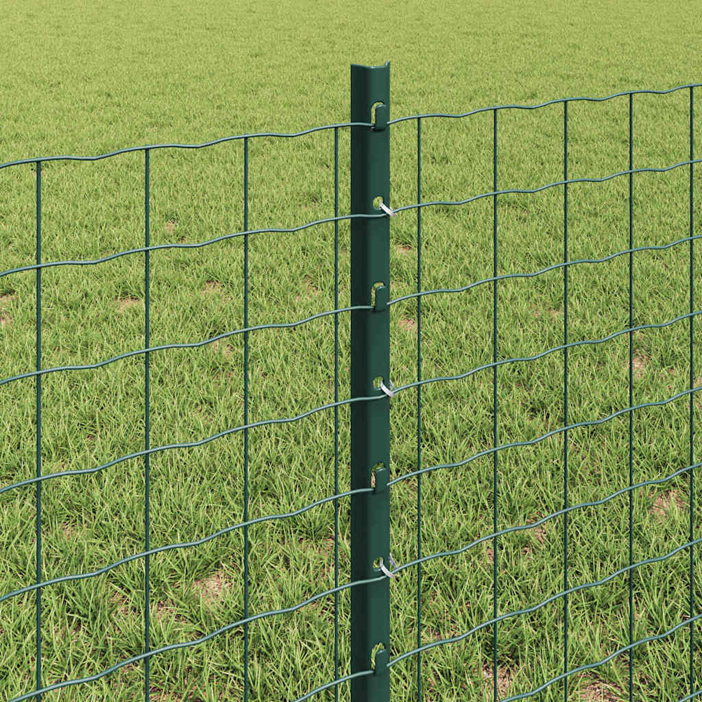 Eurohegn med stolpe 50 x 0,6 m PVC-belagt stål Grøn Mesh