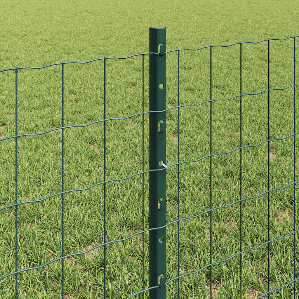Eurohegn med stolpe 50 x 0,6 m PVC-belagt stål Grøn Mesh
